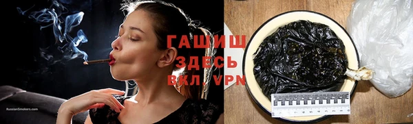 стаф Гусев