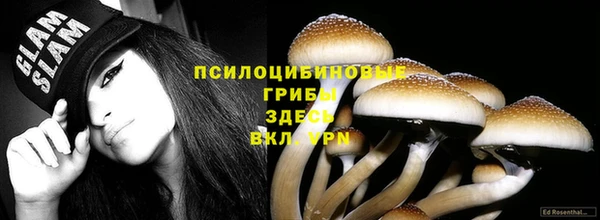 прущие крисы Дмитров