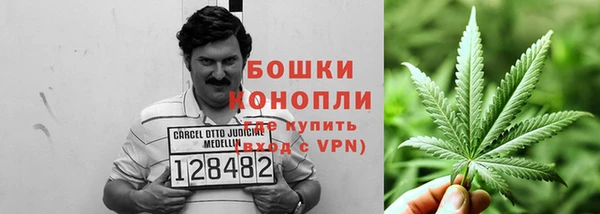 прущие крисы Дмитров