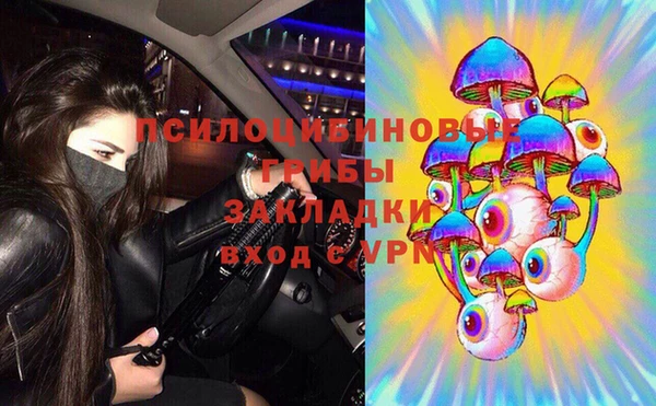 прущие крисы Дмитров