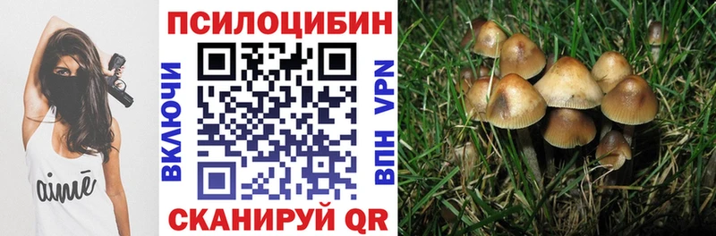 Псилоцибиновые грибы мицелий  Москва 